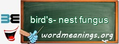 WordMeaning blackboard for bird's-nest fungus